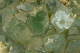 Green Fluorite Crystal Cluster - Fluorescent #136881-1
